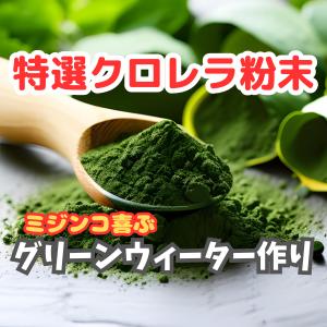 みじんこ 培養に グリーンウォーター メダカ ...の詳細画像1