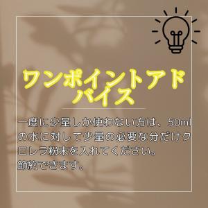 みじんこ 培養に グリーンウォーター メダカ ...の詳細画像4