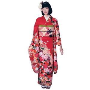 きもの大岡 - 振袖・単品販売（振袖・袋帯・長襦袢・振袖用草履・小物 