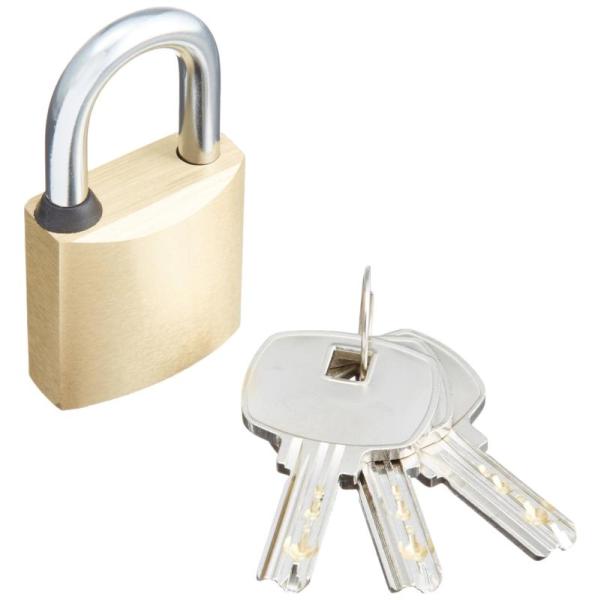 エレコム セキュリティロック 南京錠 ディンプルキー ESL-NKD