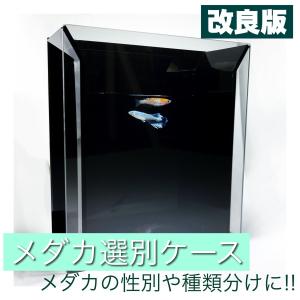 メダカ選別用ケース 種類や性別分けに最適です！！ : いろいろ工房