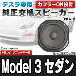 fd-ts-sub225-wf01 (トランク...の詳細画像1