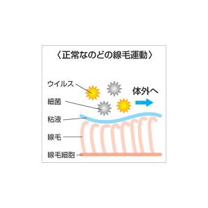 【送料無料(一部地域除く)】【1ケースまとめ買...の詳細画像1