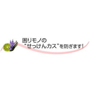 サラヤ arau.衣類のなめらか仕上げ 詰替6...の詳細画像2