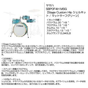 Warwick（ワーウィック） Warwick Blue CAB 15 コンボ ベースアンプ