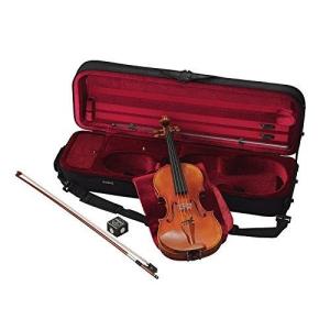 Palatino AXL-10 4/4 String Instrument パラティーノ