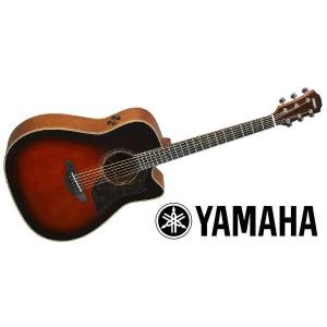 【5/31（金）に出荷予定】ヤマハアコースティックギターA3M TBS ARE｜oosugakki