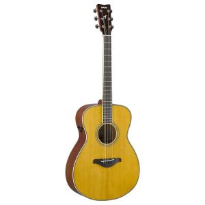 【2/7（土）に出荷予定】ヤマハアコースティックギターFS-TA VT