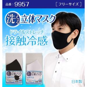 (接触冷感) (洗える) (夏用) 立体マスク ドライ＆ストレッチ フリーサイズ 夏用マスク｜oosumi-marutake