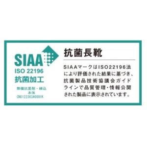 アウトレット 在庫処分 (先芯なし) 長靴 自...の詳細画像2