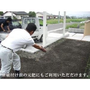芝生の肥料 552 5kgの詳細画像1