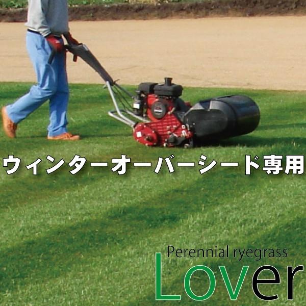 芝生の種 Lover ラバー 1kg カネコ種苗