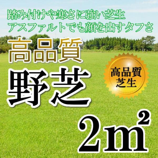 【普通便】芝生 野芝 2平米 鹿児島産