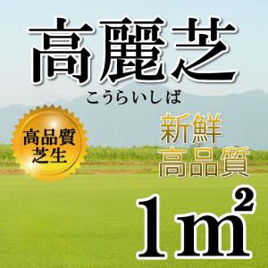 【クール便】芝生 高麗芝 1平米 鹿児島産｜oosumi