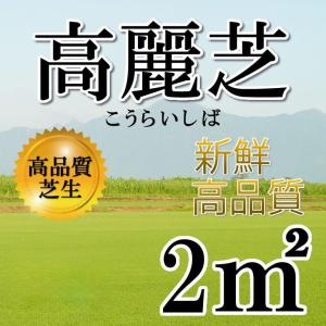 【クール便】芝生 高麗芝 2平米 鹿児島産｜oosumi