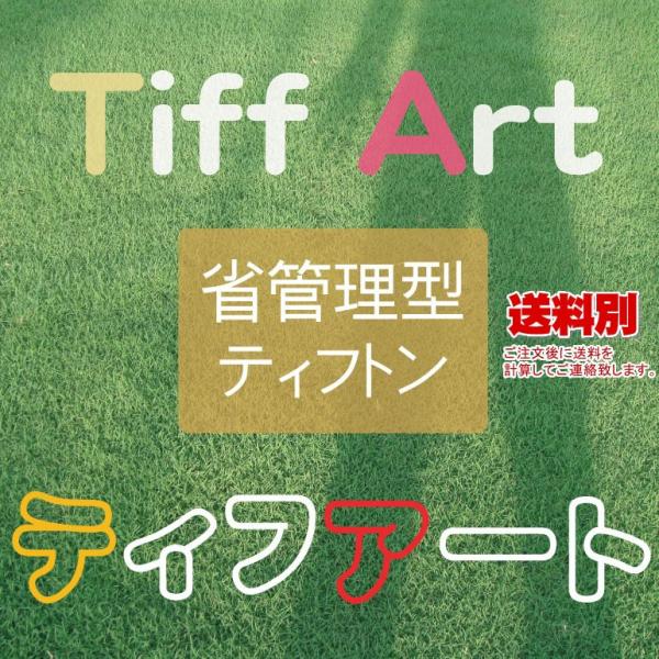 芝生 ティフアート 2平米