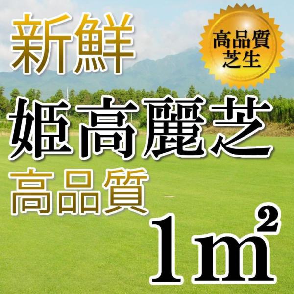 【普通便】芝生 姫高麗芝 1平米 鹿児島産