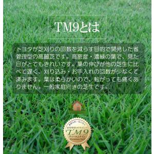 【クール便】芝生 TM9 2平米 鹿児島産の詳細画像3
