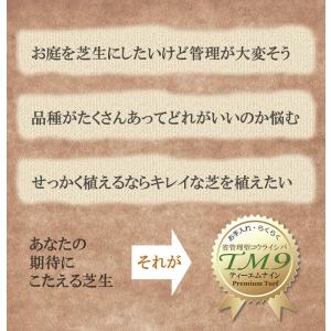 【クール便】芝生 TM9 2平米 鹿児島産の詳細画像4