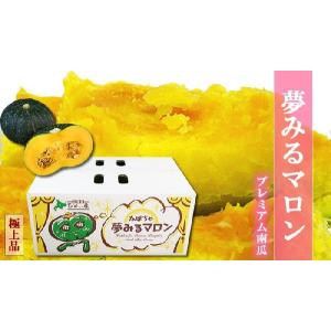 北海道　美瑛町産かぼちゃ　夢みるマロン10kg(4〜6玉)