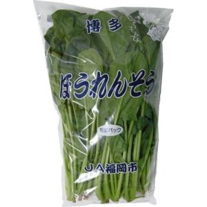 佐賀れんこん(蓮根・レンコン) 約300g 佐賀産・九州産 佐賀れんこん(蓮根・レンコン) 約300g 佐賀産・九州産
