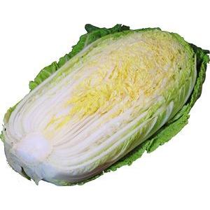 白菜（はくさい）　1/2カット　＜長野産＞