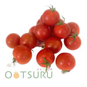 ミニトマト(プチトマト) 1パック、Mサイズ 福...の商品画像