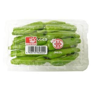 ししとう（しし唐）　1パック１００ｇ、Ｍサイズ　高知産