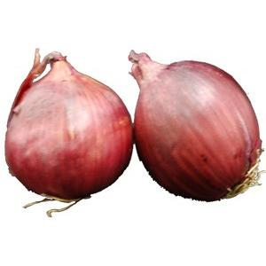 赤玉葱（レッド玉ねぎ・紫たまねぎ・レッドオニオン） 2玉 アメリカ産