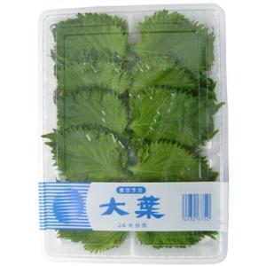 なすお出品 オーガニック加茂ナス・真黒茄子おまかせMIX🍆 5kg Organic