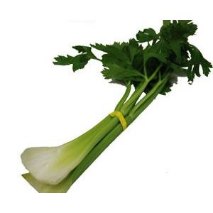 セロリ（セロリー）1本　1株　1箱(5~10株）　長野産など、国産