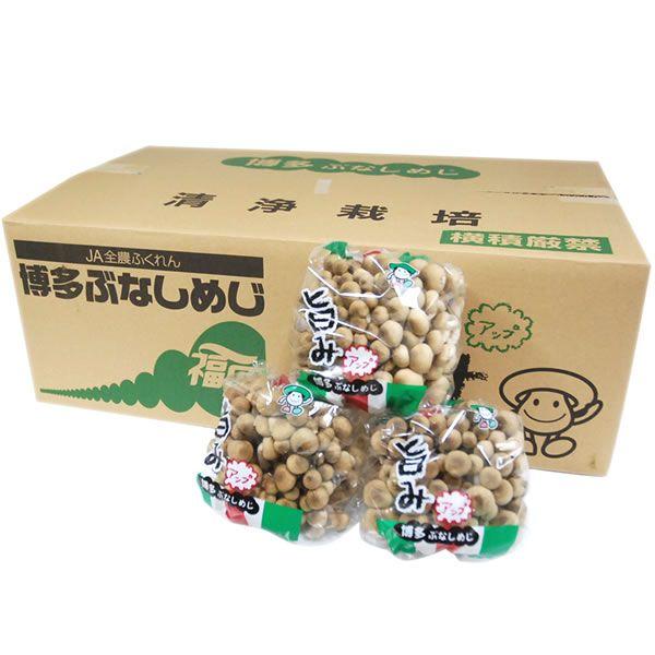 【箱売り】　しめじ（シメジ）　１箱（約２００ｇ×３０袋入り）　福岡産　【業務用・大量販売】【RCP】