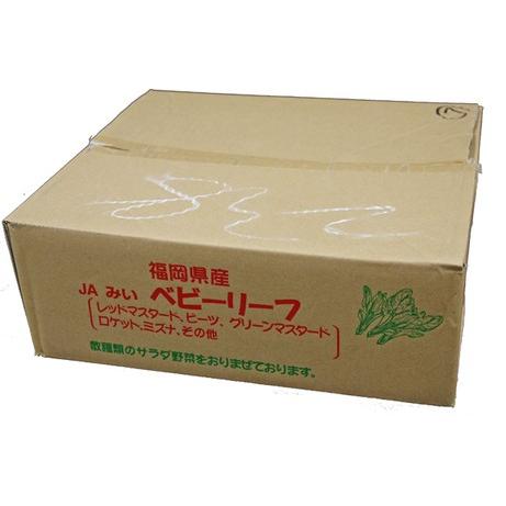 【箱売り】　ベビーリーフ　１箱（２０袋入り）　九州産　【業務用・大量販売】【RCP】