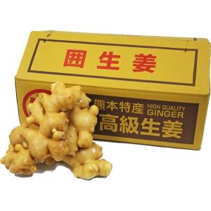 和歌山県産 新生姜 約12kg しょうが 生姜 和歌山県産 新しょうが 秀品 Lサイズ 4kg （箱） 国産 新生姜 生姜