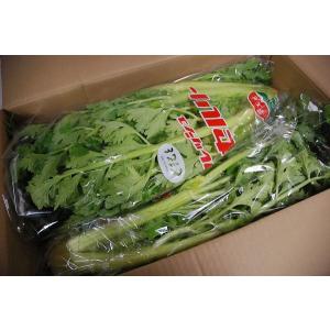 【品質低下中です。申し訳ありません。】【箱売り...の詳細画像1