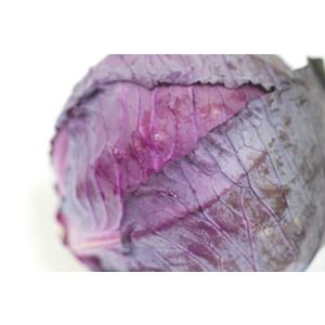 レッドキャベツ(紫キャベツ・赤キャベツ・きゃべ...の詳細画像1