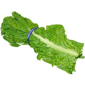 かつお菜　１束（３〜５枚）　福岡産