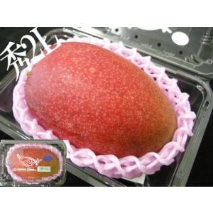 マンゴー 宮崎マンゴー 4L 1玉 500g以上 完熟マンゴー 宮崎県産 国産