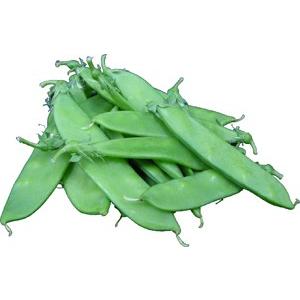 【国産】　　絹さや（きぬさや・キヌサヤ）50ｇ　緑黄色野菜と豆の栄養を兼備！