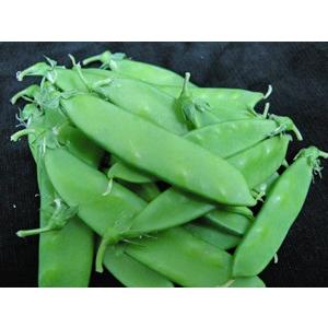 【国産】 絹さや(きぬさや・キヌサヤ)50g ...の詳細画像1