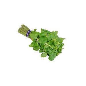 葉わさび（花わさび・葉ワサビ・花ワサビ）　１束　シャッキッとしてピリッと旨い！！　醤油漬けなど！　【...