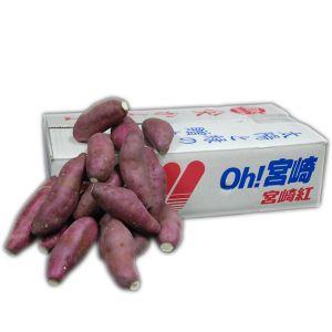 箱売り】 さつま芋（さつまいも・薩摩芋・サツマイモ） 1箱（Mサイズ