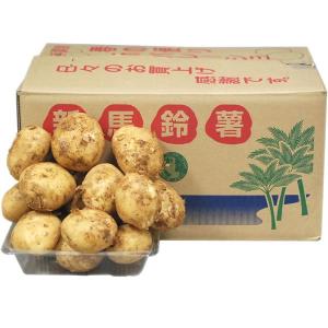 国産にんにく10kg1箱（1kg×10ネット）（大蒜・ニンニク） 青森