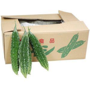 ＜箱売り＞　レイシ（にがうり・ゴーヤー）　１箱（１０本〜１４本）　[熊本産・沖縄産]　＜業務用・大量...