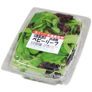 ベビーリーフ　1パック（30ｇ）　九州・熊本