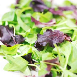 ベビーリーフ 1パック(30g) 九州・熊本の詳細画像1