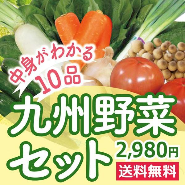 なかみが分かる 九州野菜セット《早生きゃべ、玉ネギ、なす、とまと、じゃが芋、リーフ、えのき、しめじ、...