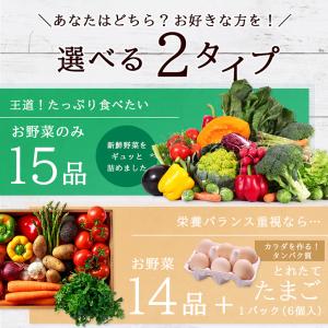 【あすつく】【セット】おまかせ 九州野菜セット...の詳細画像1