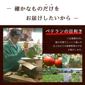 【あすつく】【セット】おまかせ 九州野菜セット...の詳細画像3