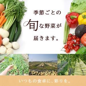 【あすつく】【セット】おまかせ 九州野菜セット...の詳細画像4